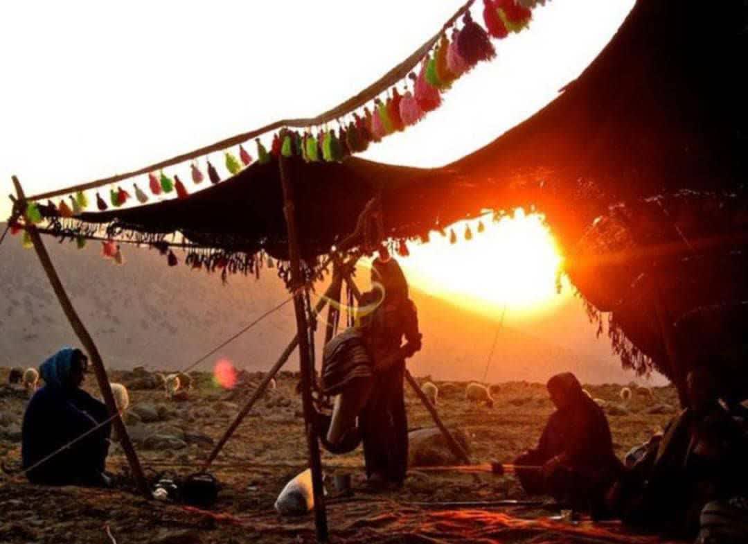 سیاه چادر
